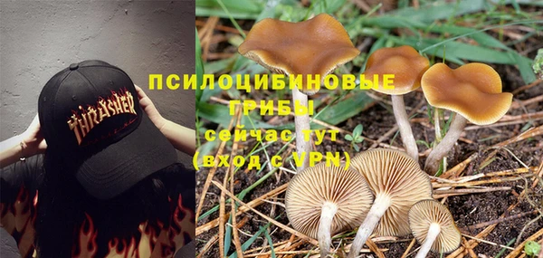 скорость Алексеевка